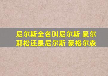 尼尔斯全名叫尼尔斯 豪尔耶松还是尼尔斯 豪格尔森